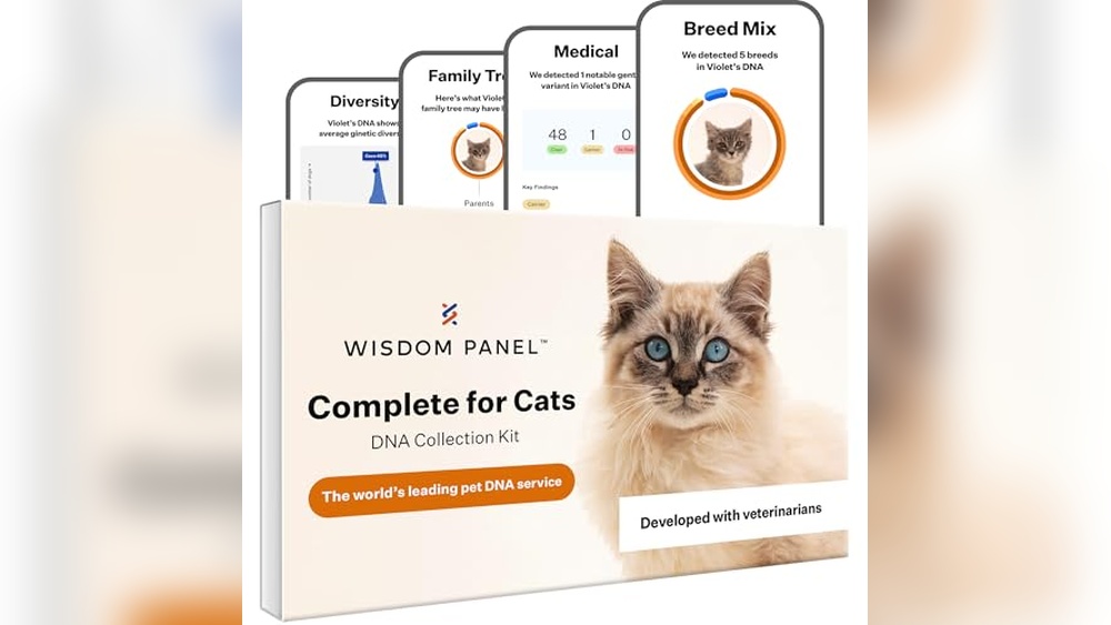 Best DNA Test for Cats: Top Kits for Breed and Health Insights