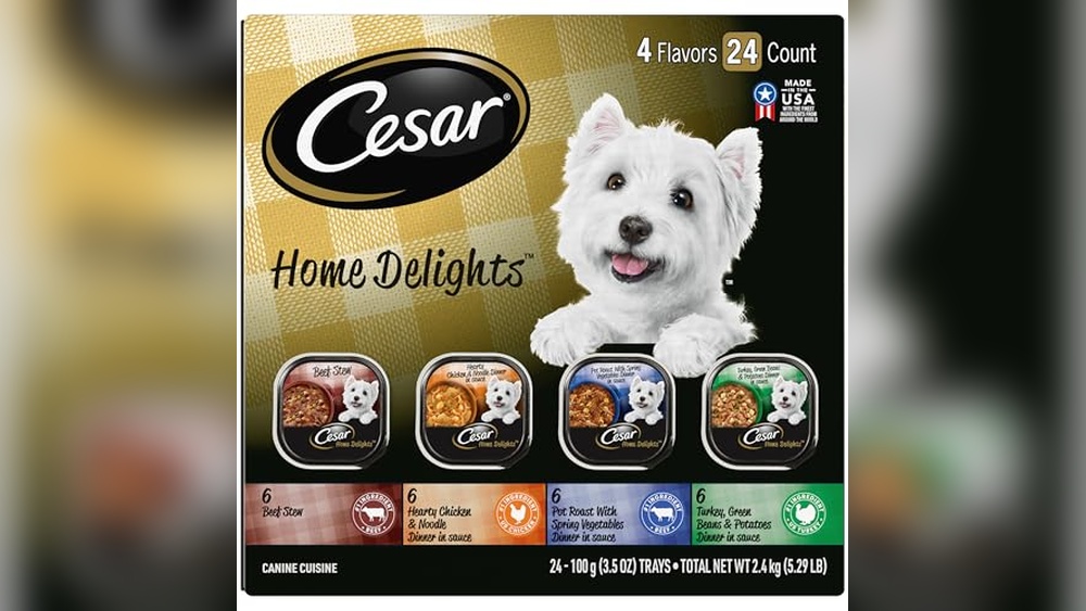 Best Dog to Get With Cats: Top Pets for a Harmonious Home