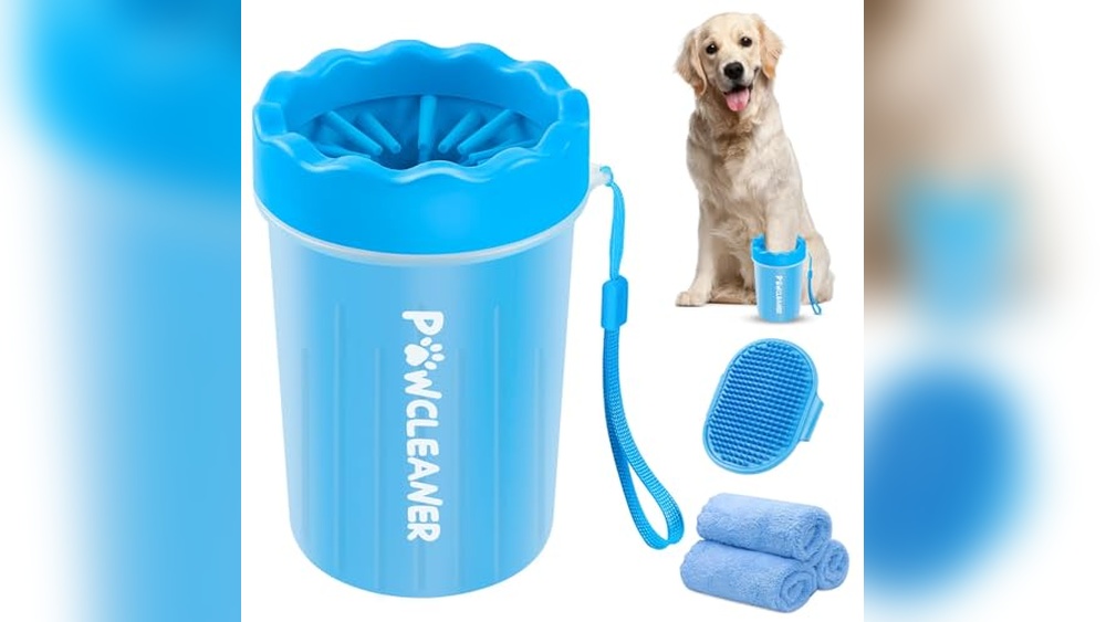 Best Dogs for Cat Owners: Top Pet-Friendly Breeds and Essential Products