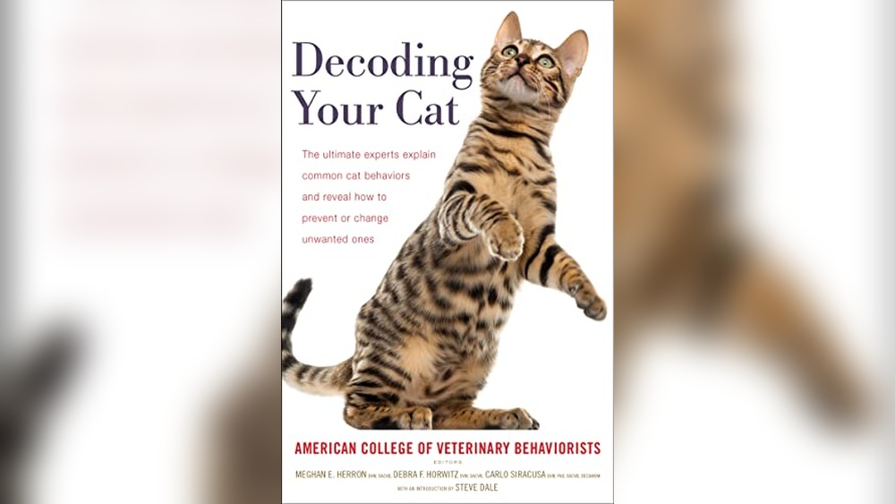 Best Dogs to Get along With Cats