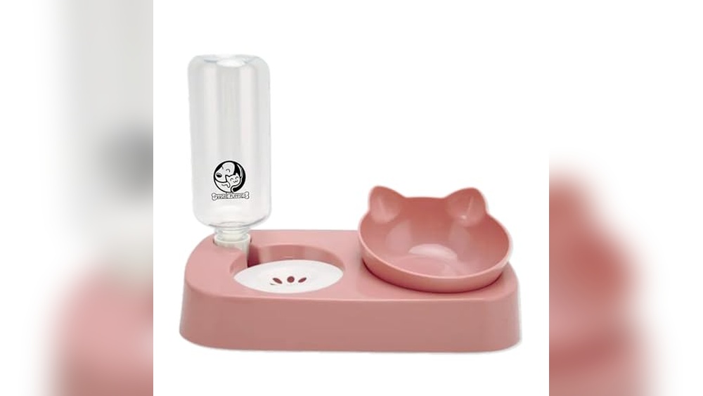 Best Drinking Bowl for Cats: Top Leak-Proof and Elevated Designs