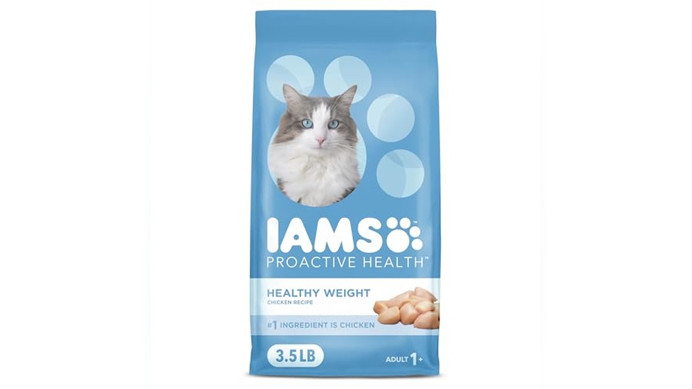 Best Dry Food for Overweight Cats