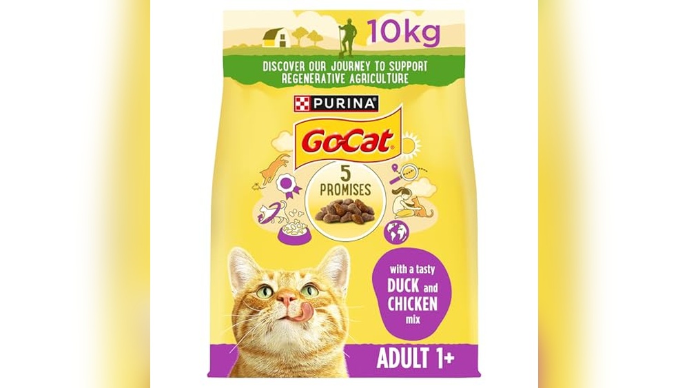 Best Dry Foods for Cats: Top Nutritious Choices for Healthy Felines