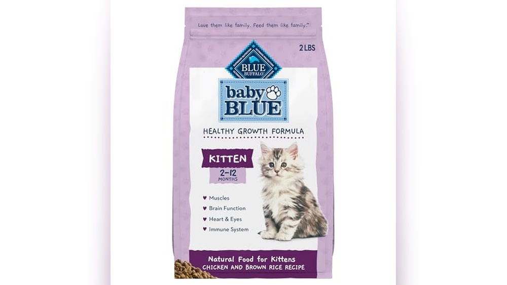 Best Dry Kitten Food for Indoor Cats: Top Healthy Choices Reviewed