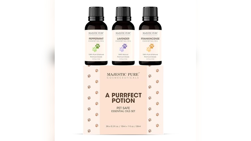 Best Essential Oils for Cats to Soothe Anxiety and Promote Calm