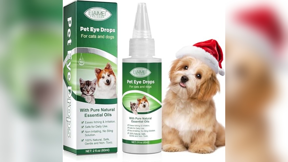 Best Eye Drops for Cats to Relieve Irritation and Pink Eye