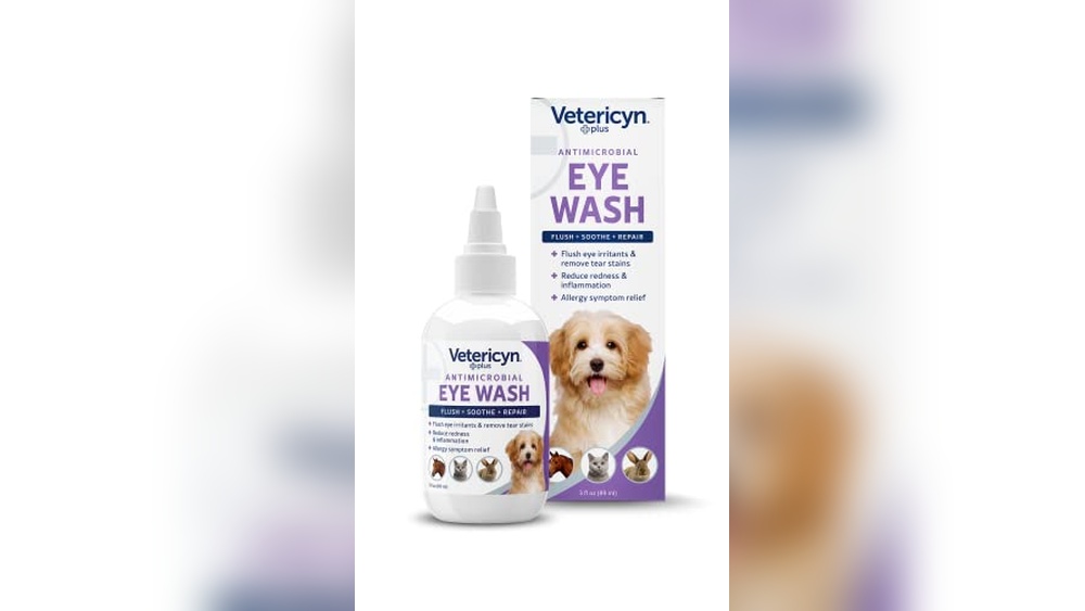 Best Eye Wash for Cats to Soothe Irritations and Remove Tear Stains