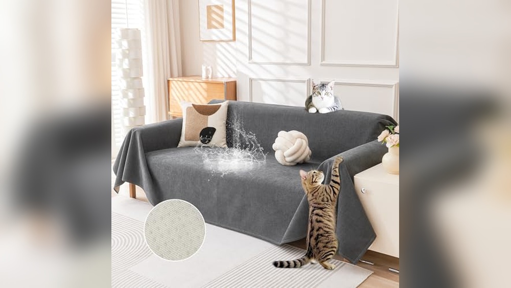 Best Fabric for Sofa With Cats