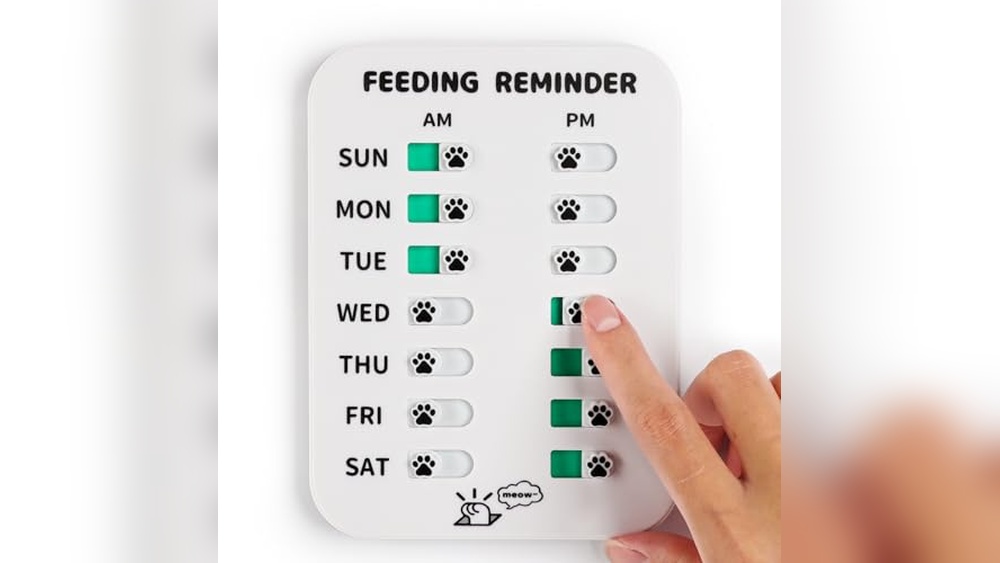 Best Feeding Schedule for Cats: Tips to Prevent Overfeeding with Reminders