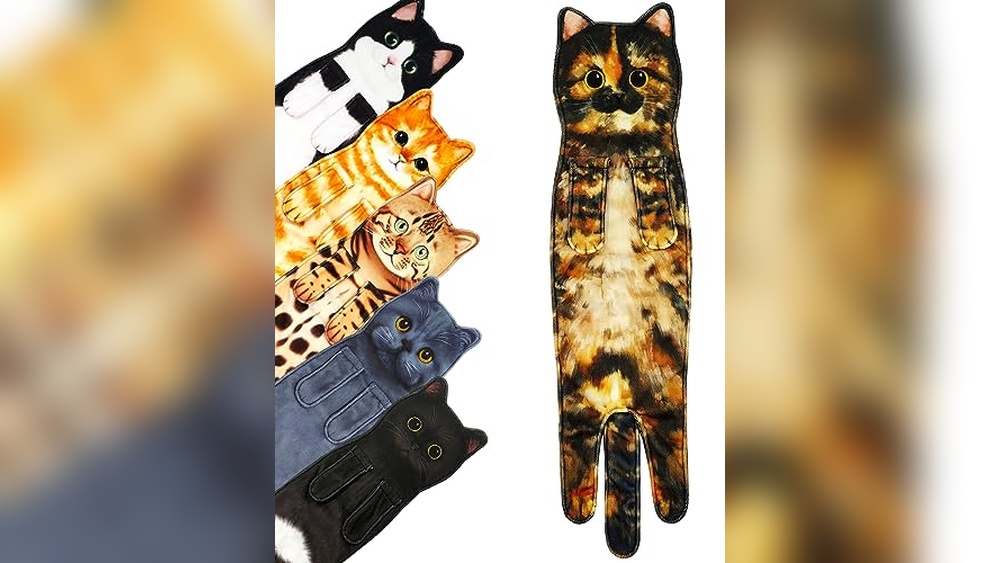 Best Female Tortoiseshell Cat Names for Your Adorable New Kitty