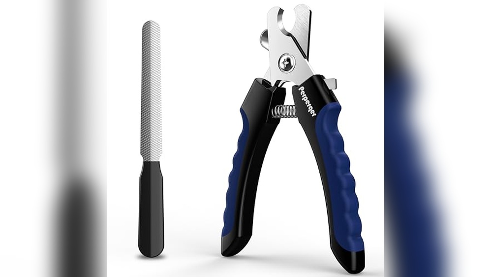 Best First Time Cat Breeds and Essential Care Products for New Owners