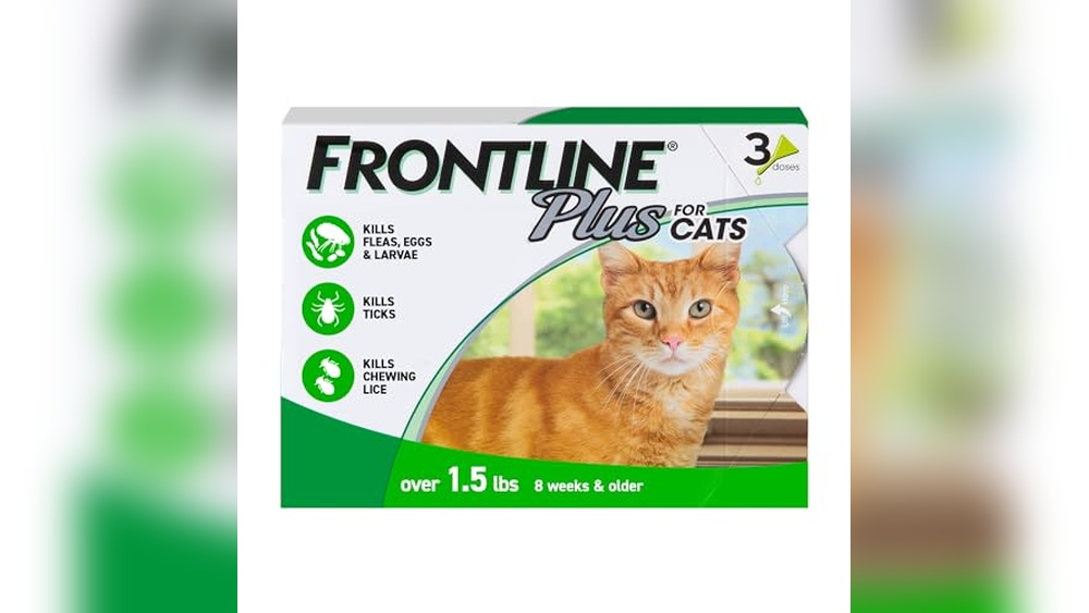 Best Flea And Tick for Outdoor Cats: Top Effective Treatments Reviewed