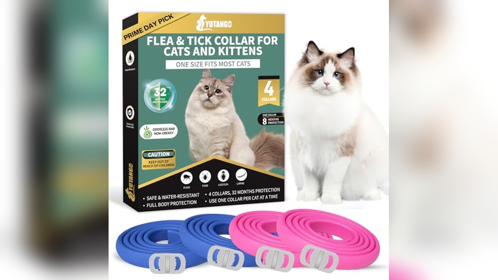 Best Flea Collar for Cats With Sensitive Skin: Top Gentle Picks