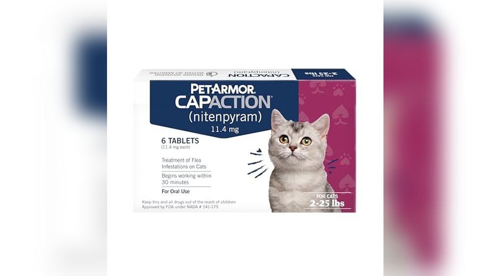 Best Flea Control for Feral Cats: Fast, Effective, and Natural Solutions