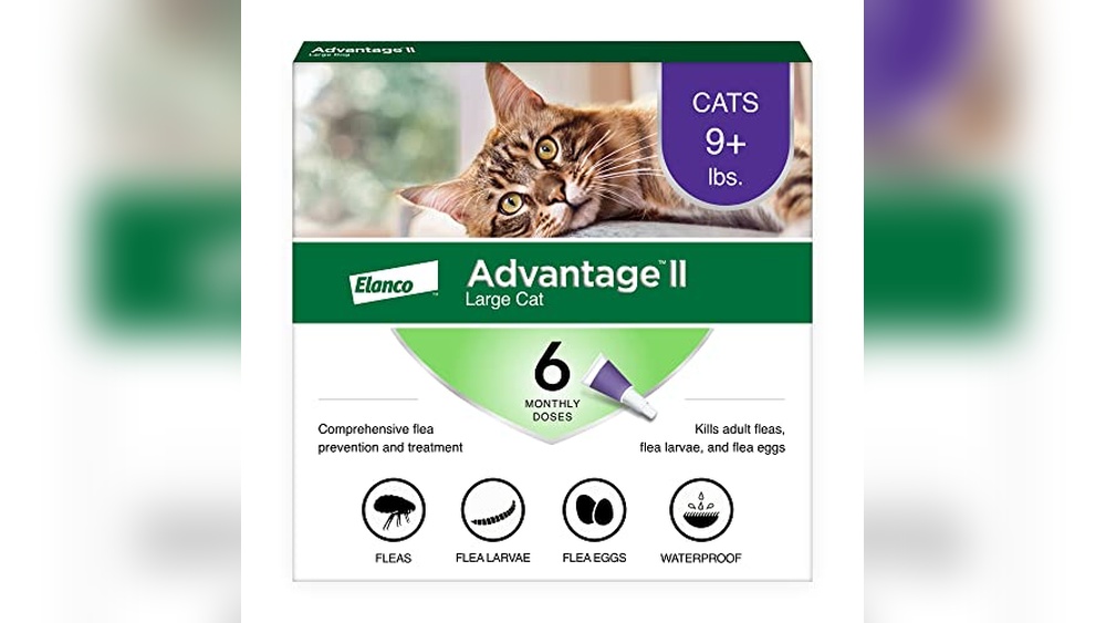 Best Flea Medicine for Cats Reddit