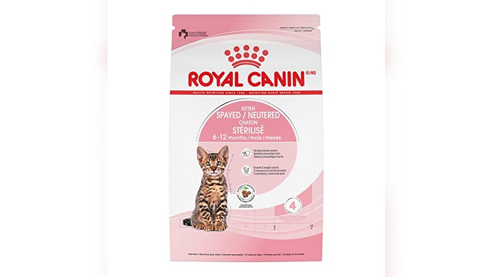 Best Food for 6 Month Old Cat: Top Nutritious Choices for Growth