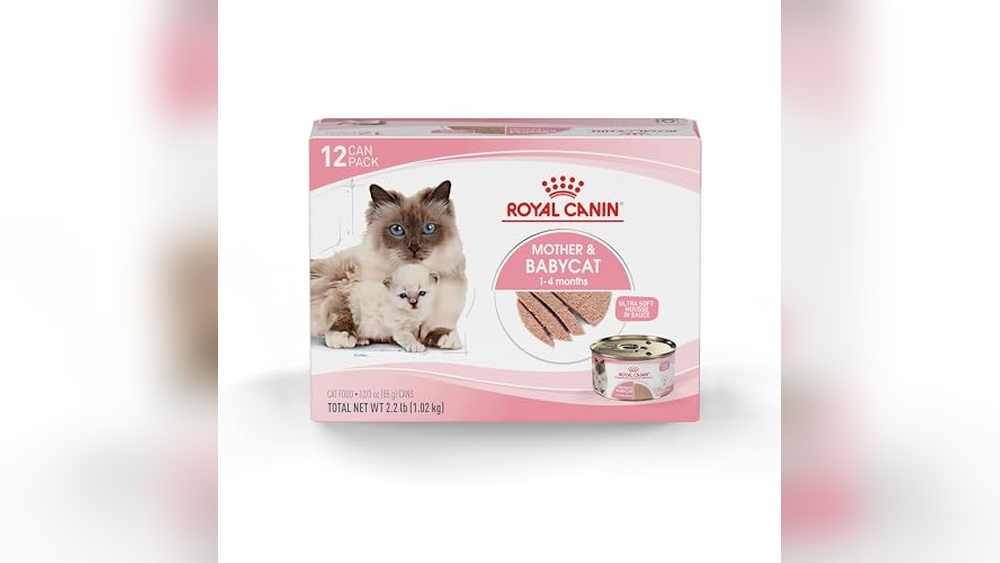 Best Food for 8 Month Old Cat: Top Nutritious Choices Reviewed