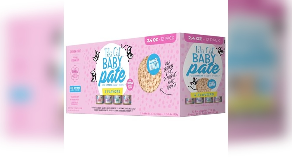 Best Food for 9 Month Old Cat: Top Wet and Dry Kitten Choices