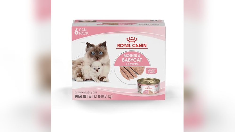 Best Food for a Nursing Cat: Top Choices for Health and Nutrition