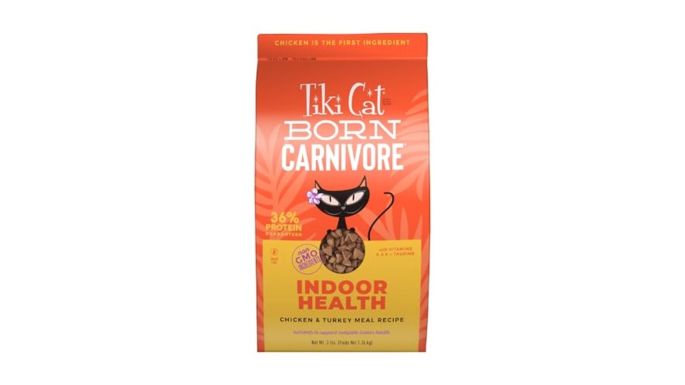 Best Food for Asthmatic Cats