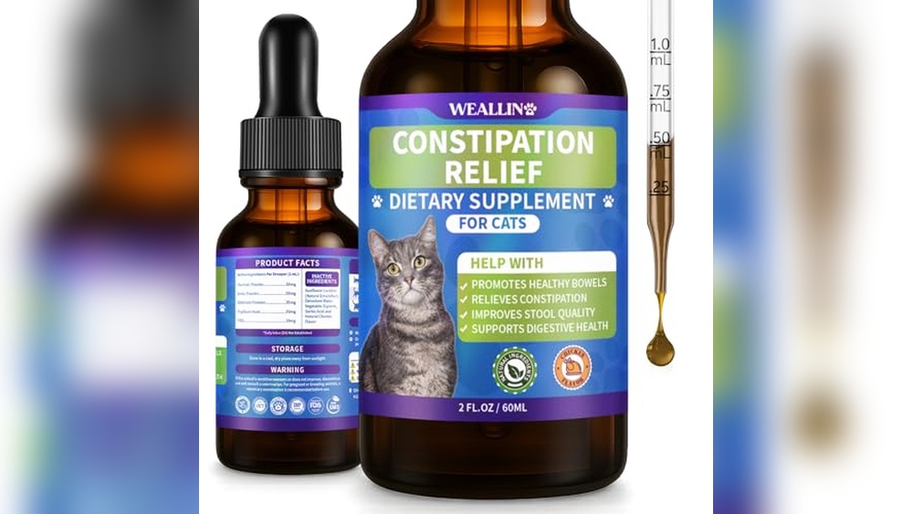 Best Food for Cat Constipation: Top Natural Remedies for Digestive Health