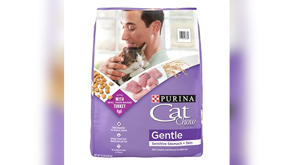 Best Food for Cats That Regurgitate: Top Gentle and Digestive Choices