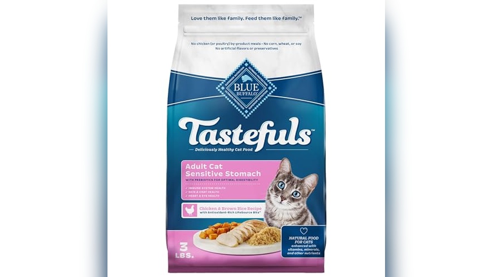 Best Food for Cats That Vomit