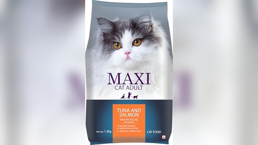 Best Food for Cats With No Teeth: Soft, Nutritious Options to Try