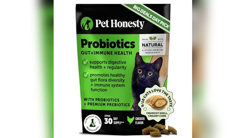 Best Food for Constipated Cats: Top Digestive Health Solutions Reviewed