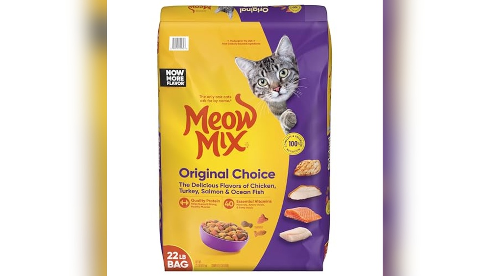 Best Food for Feral Cats in Winter: Top Cozy Feeding Solutions