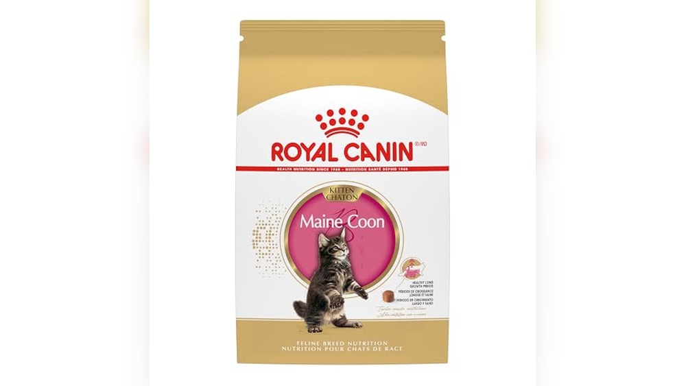 Best Food for Maine Coon Cat: Top Nutritious Choices for Health