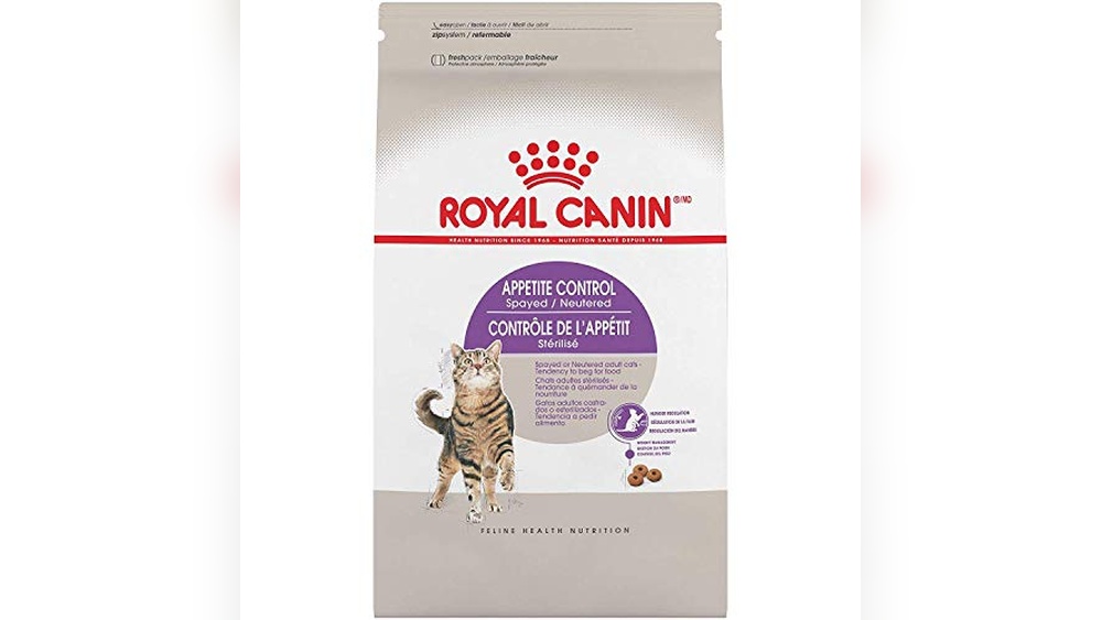 Best Food for Neutered Cats: Top Choices for Health and Weight Control