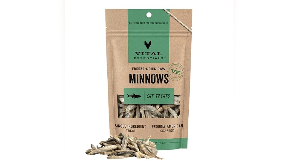 Best Food for Norwegian Forest Cat: Top Grain-Free & High-Protein Picks