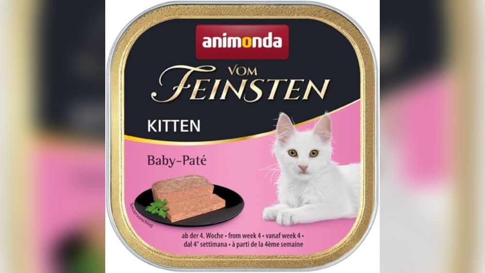 Best Food for Nursing Mother Cat: Top Nutritious Choices for Care