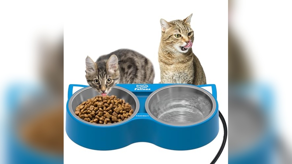 Best Food for Outdoor Cats in Winter: Top Heated Bowls and Shelters