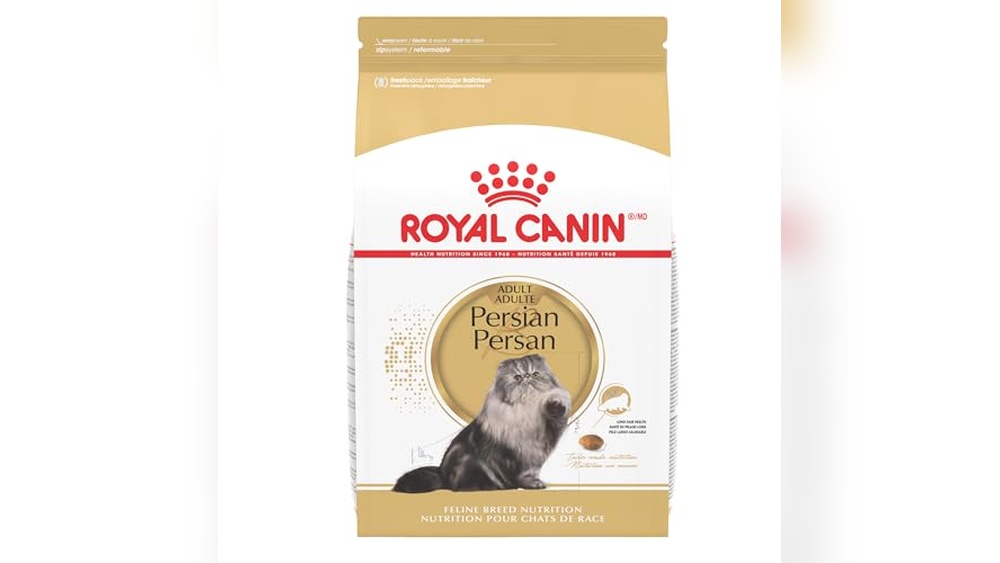 Best Food for Persian Cat: Top Nutritious Choices for Healthy Felines