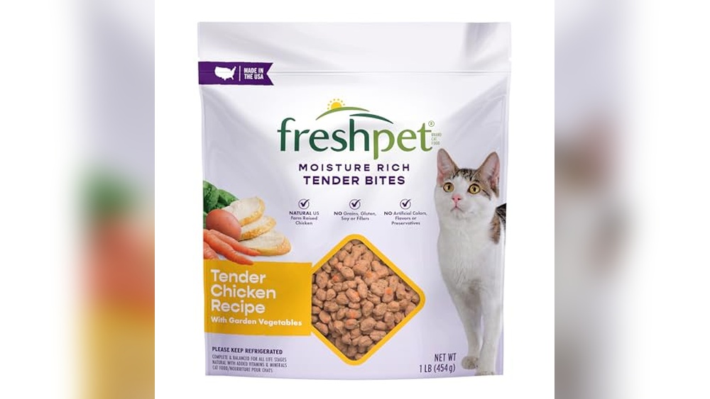 Best Fresh Food for Cats: Top Nutritious Meals and Treats Reviewed