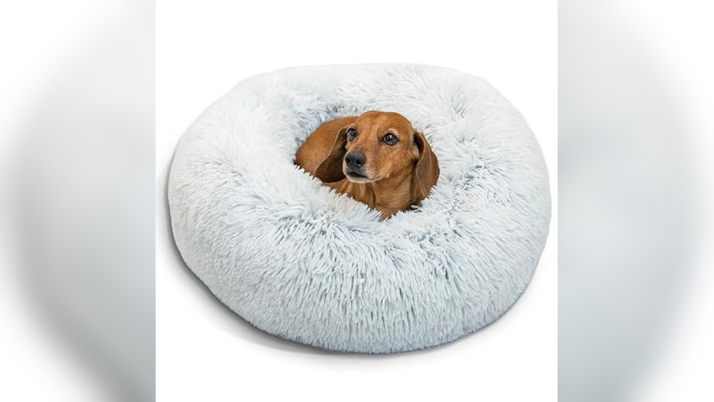 Best Friends by Sheri Cat Bed: Ultimate Comfort and Calming Design