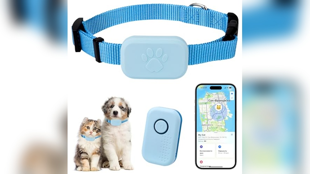 Best GPS Tracker for Cat: Top Reliable Real-Time Trackers Reviewed