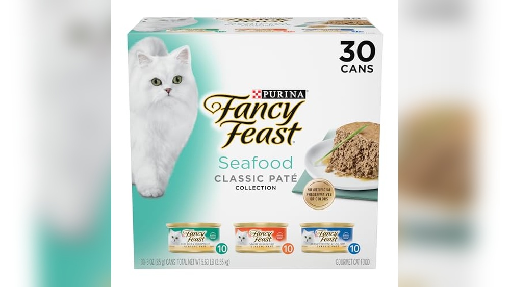 Best Grain Free Cat Food Wet Variety Packs for Healthy, Happy Cats