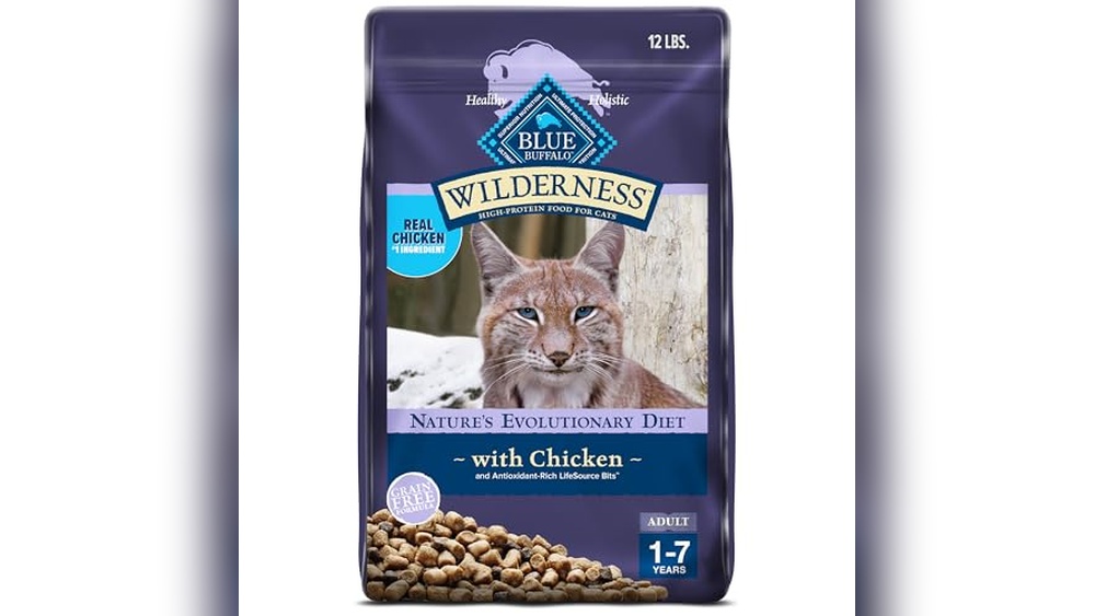 Best Grain Free Dry Food for Cats: Top High-Protein Natural Choices