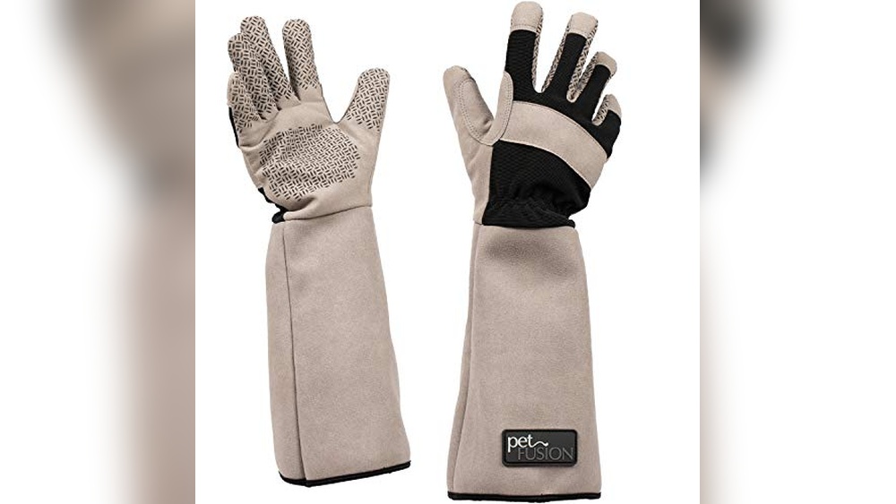 Best Grooming Gloves for Cats: Top Picks for Shedding and Massage