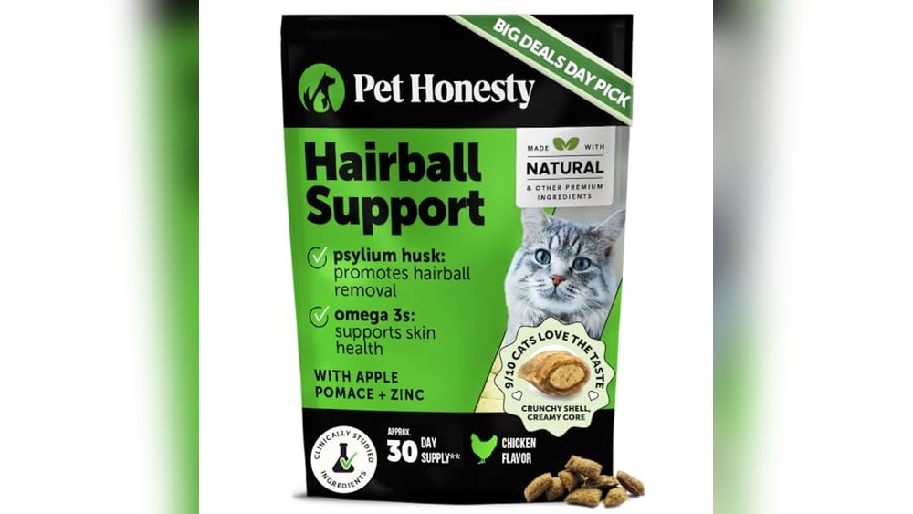 Best Hairball Treatment for Cats: Top Remedies for Furball Relief
