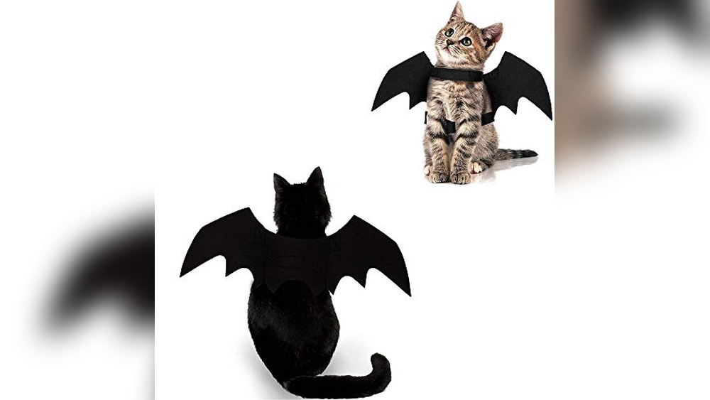 Best Halloween Costumes for Cats: Top Picks for Spooky Feline Fun