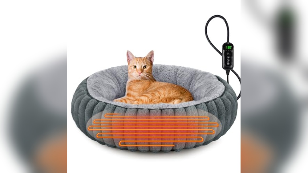 Best Heated Bed for Cats: Cozy, Adjustable, and Safe Warmth Options