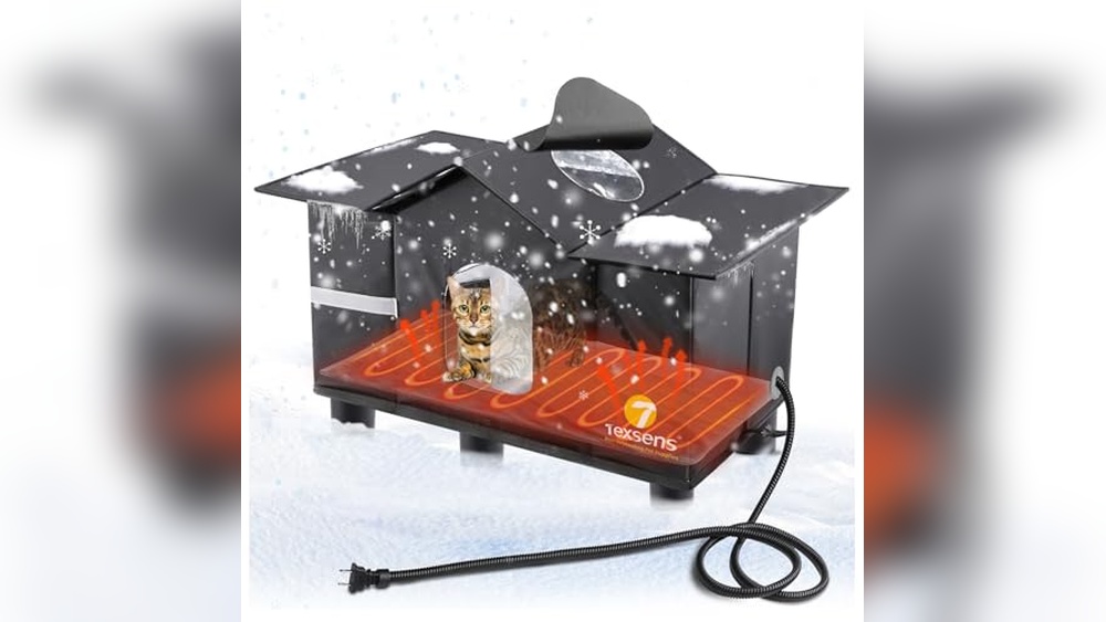 Best Heated Cat House Outdoor