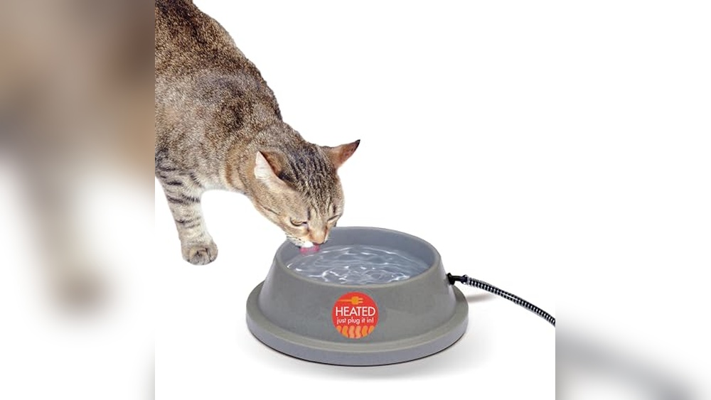 Best Heated Water Bowl for Cats: Top Picks for Winter Comfort