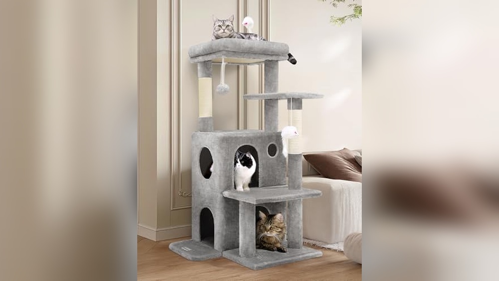 Best Heavy Duty Cat Trees for Large Cats with Sturdy Multi-Level Designs