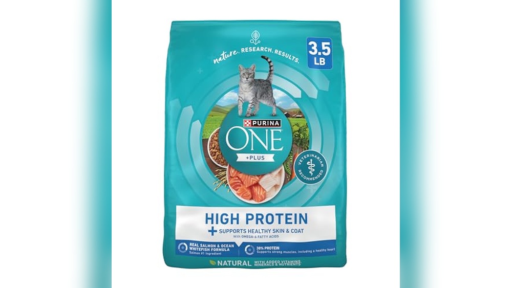 Best High Calorie Dry Cat Food for Optimal Health and Energy Boost