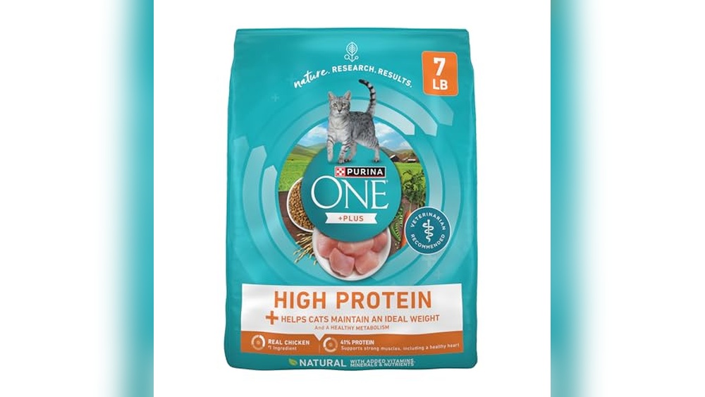 Best High Protein Cat Food Dry for Healthy, Active Felines